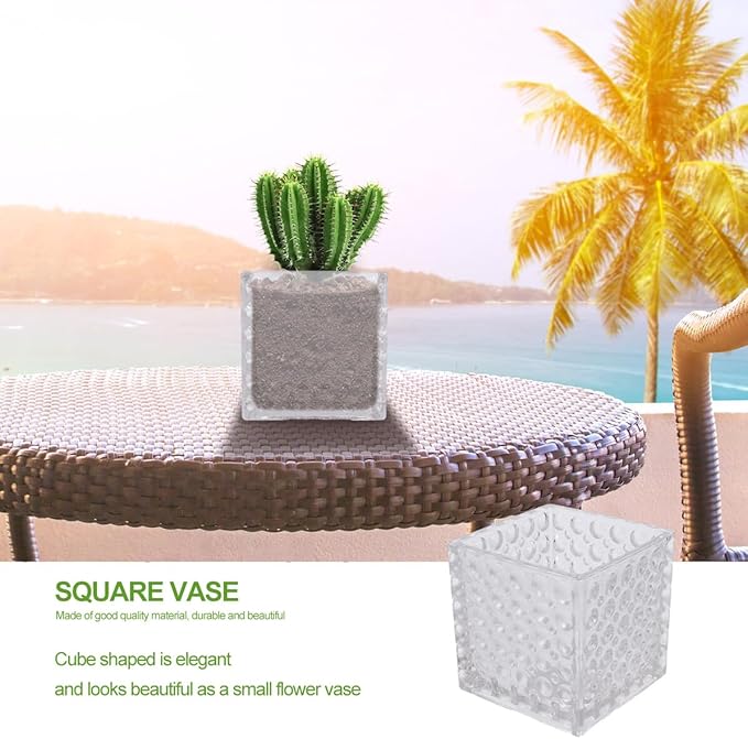 Angoily Transparent Square Glass Flowerpot Cube Shape Hydroponic Vase for Home Office Decoration Elegant Small Planter Pot Pure Material Easy to Clean