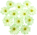 Green Artificial Daisy Flower Heads, 3.5 Inch Large Flower Heads for Crafts, 12 Pcs Artificial Gerbera Chrysanthemum Flowers Heads for DIY, Party Wedding, Photography Props, Easter