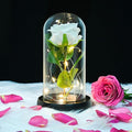 QUELIEN White Roses in Glass Dome,Eternal Rose Gift for Women,Lasts Forever Home Decor,Mother's Day Christmas (White)