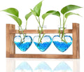 Nacome Plant Terrarium Propagation Stations: Christmas Gifts for Plant Lovers Women Mom Wife - Wooden Stand Tabletop Planter 3 Bulb Glass Vase Heart Shaped for Hydroponics Indoor Home Office Decor