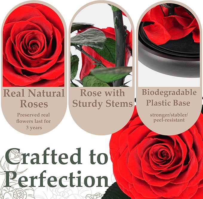 Flowers Roses Gifts for Women - Birthday Gifts Forever Preserved Rose in Acrylic Dome Forever Real Flowers for Delivery Grandma Wife Her Eternal Rose Flower Gifts for Mom Friends Sister