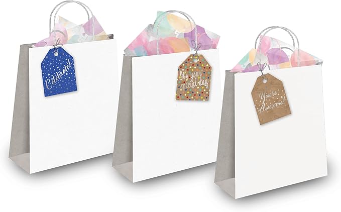 Pro Supply Global 24 Count of 2.5 Inch x 3 Inch Pre Strung Celebration Gift Tag Assorted Printed Designs on Large Cardstock Gift Hang Tags - Ideal to Use on Bags