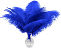 Piokio 20pcs Blue Ostrich Feathers 10-12 inch (25-30cm) Bulk Feathers for Decoration and DIY Clothing and DIY Clothes Decoration, Gatsby Decorations