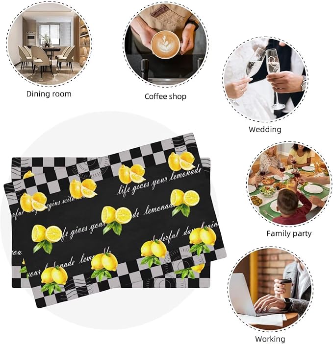 Lemon Kitchen Table Placemats Set of 6 Vintage Black White Checkered Summer Fruit Print Placemat Indoor Outdoor Party Home Desktop Dining Room Decor 12x18 Inch