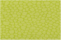 Sage Green Modern Placemats Set of 1 PVC Vinyl Non Slip Table Mats Waterproof Heat Resistant Place Mats Washable Wipeable Dining Table Mat for Kitchen Party Farmhouse Indoor Outdoor Decorative