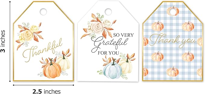 Pro Supply Global 24 Count of 2.5 Inch x 3 Inch Pre Strung Thankful Fall Pumpkins Gift Tag Assorted Printed Designs on Large Cardstock Gift Hang Tags - Ideal to Use on Bags