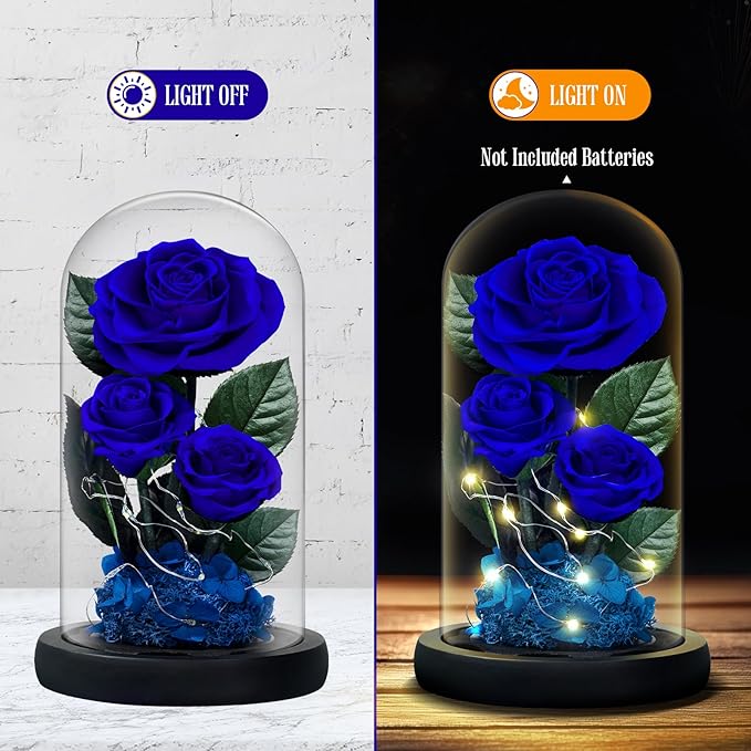 3 Preserved Flowers Roses in Glass Dome with Light for Beauty and The Beast Decor Real Rosas Eternas for Women Mom Birthday,Forever Blue Roses for Delivery,Christmas for Wife Girlfriend Her
