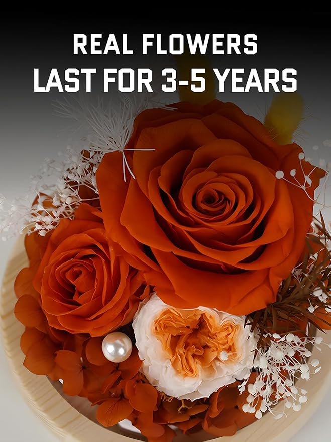 FIACO Preserved Rose Birthday Gift for Women Forever Fresh Flowers for Prime Delivery Gift for Mom Grandma Wife Valentines Mothers Day Christmas Anniversary Eternal Roses in Glass Dome