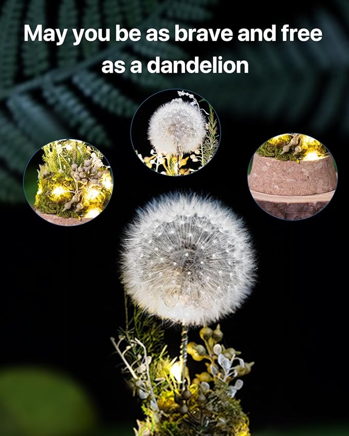 JoyFlower Preserved Dandelion in Glass Dome, Real Dandelion Eternal Flowers Gifts for Women, Preserved Flower Friendship Gifts for Girlfriend Best Friend Sisters Daughter Birthday Graduation Gift