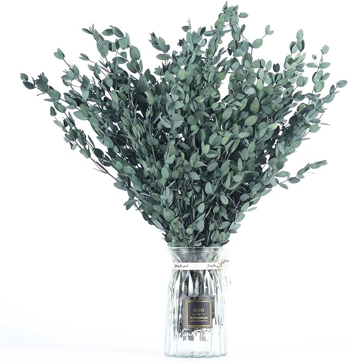 Dried Eucalyptus Leaves Preserved Greenery Stems, 8-14 PCS Eucalyptus Garland Branches, 4 OZ Green Leaves Plant Bundle for Wedding Wreath Party Home Decor Vase Filler