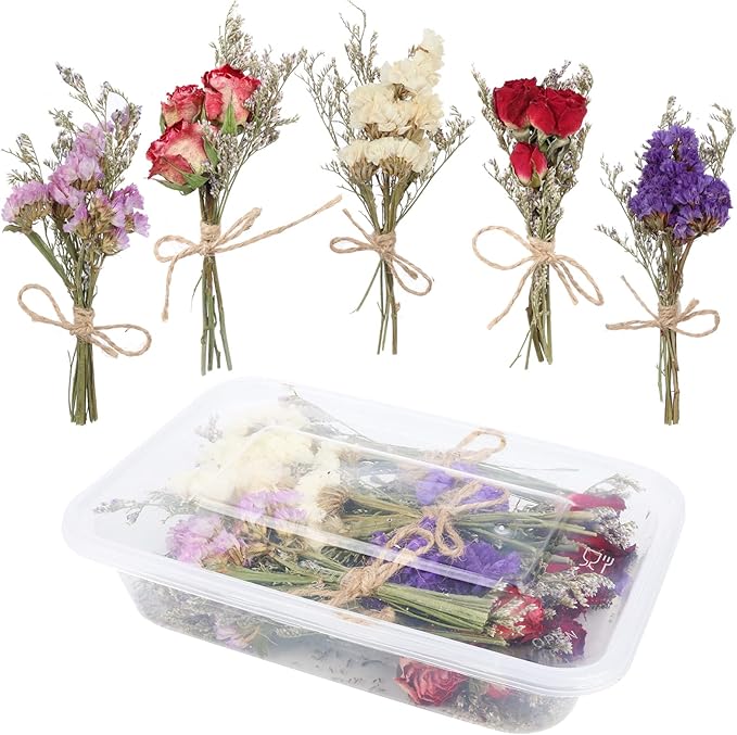 10 Pack Dried Flower Bouquets Mini Dried Flower with Stem Forget Me Not Dried Embossing Natural Flower Bundles Artificial Flower Dried Floral Arrangement for Vase DlY Wedding Decor (Forget Me Not)