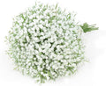 DEEMEI Babys Breath Artificial Flowers 10Pcs 30 Branches Fake Babys Breath Flowers Artificial Bulk Gypsophila Bouquets Real Touch Faux Flowers for Wedding Floral Arrangement Party Home Decor