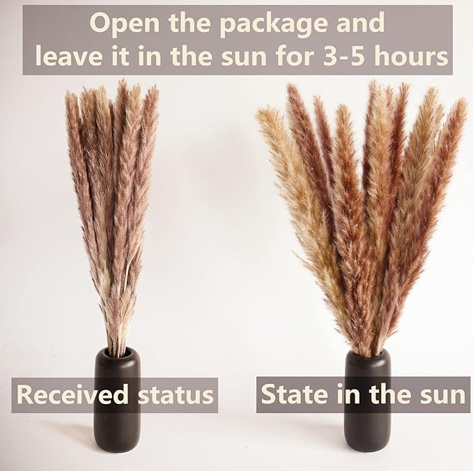200 PCS Small Boho Pampas Grass, 17" Naturally Dried Pompas, Pampas Grass Decor for Wedding , Boho Party Decorations, Table Decor（Brown and White）
