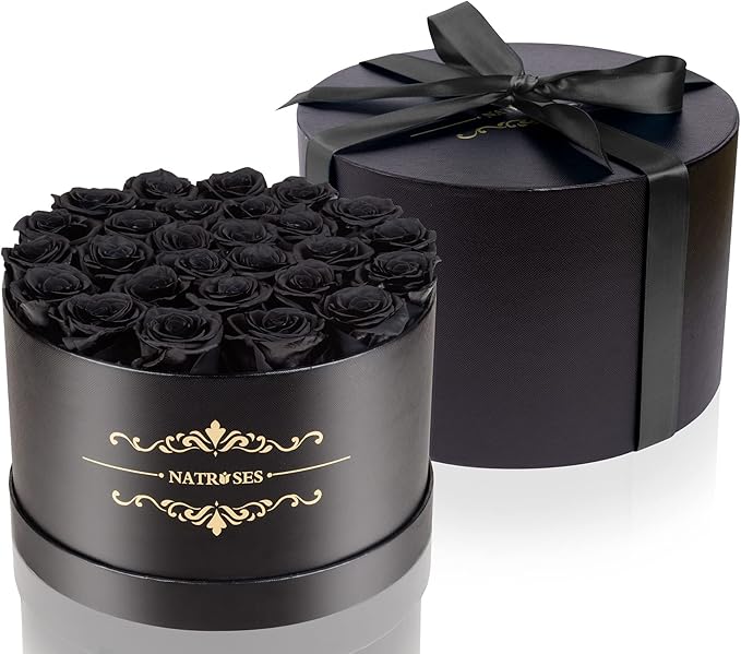 NATROSES 27 Piece Forever Preserved Roses in a Box, Preserved Flowers for Delivery Birthday, Flowers Gifts for Mothers Day, Black