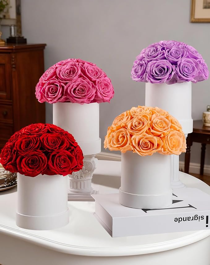 Preserved Roses Dome in a Box, Forever Real Roses Decor, Eternal Flowers for Delivery Prime, Best Gifts Birthday, Wedding, Anniversary, Mother's Day, Christmas for Her, 18-Pieces (Champagne)