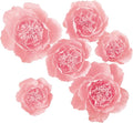 Crepe Paper Flowers Decoration for Wall, Artificial Flowers for Wedding Decor,Flower Backdrop Decor,Baby Shower,Birthday Party, Photo Backdrop, Nursery Wall Decor (Pink;Set/6)