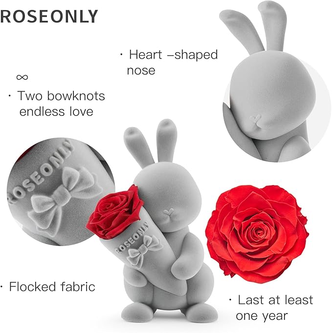 roseonly. Preserved Rose with Sweet Bunny, Eternal Flowers Gifts for Women Girlfriend Wife Mothers Real Roses for Valentine's Day Christmas Birthday Mother's Day Anniversary (Mini)