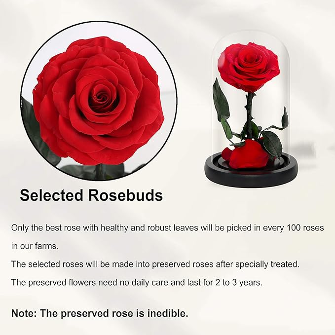 NATROSES Handmade Preserved Roses in Glass Dome, Red Roses, Preserved Flowers Gifts for Women, Mothers Day Flowers