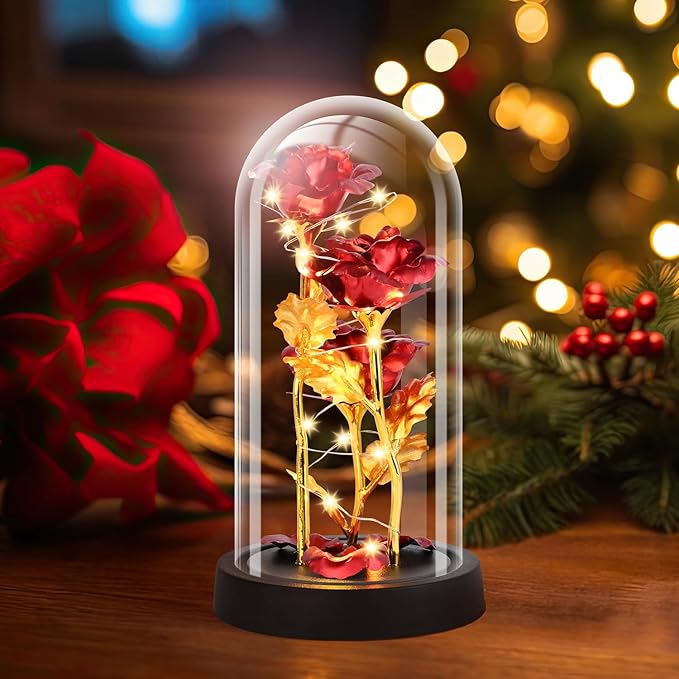 Mothers Day Glass Rose Gifts for Mom Women, Rose Flower Christmas Birthday Gifts for Women Mom Wife Girlfriend, Light Up Rose in A Glass Dome, Rose Gifts for Valentines, Mothers Day, Womens Day (Red)