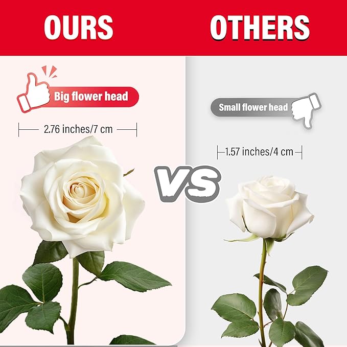 20PCS Artificial Roses with Long Stems - Realistic Silk Flowers, Fake Roses Real Touch Bouquet of Roses for Home Decor, Bridal Wedding Party Table Centerpieces, Bulk Faux Rose Flowers (White)