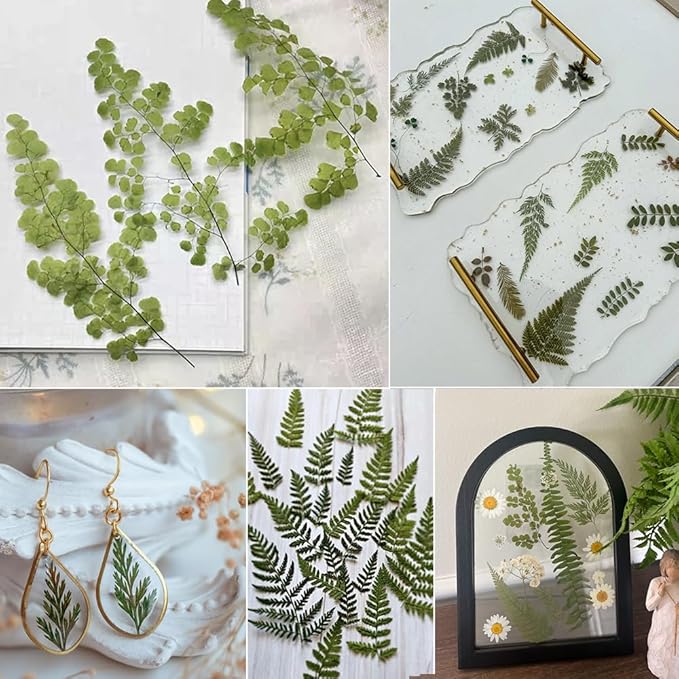 55 Pcs Green Leaves Ferns Dried Pressed Flowers for Crafts,Real Nature Dry Flower Bulk for Resin Jewelry Making Candle Making Frame Decoration Art Floral Decors