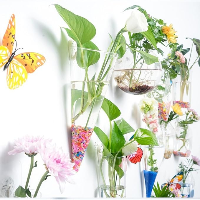 Wall-Mounted Acrylic Planter for Hydroponic Plants – Mantou Vase Large, Modern Transparent Design for Home & Office Decoration
