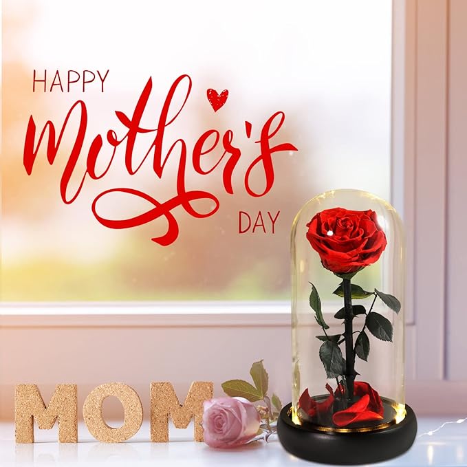 Christmas Unique Gifts for Her,Christmas Flowers for Delivery Prime,Beauty and The Beast Rose in Glass Dome,Birthday Gifts for Women Her Mom Wife Girl Grandma on Thanksgiving Anniversary Valentines