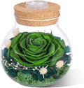 Christmas Birthday Gifts for Women Mom Preserved Rose Eternal Forever Flower in Glass Wishing Bottle with Colorful LED Light Flowers for Delivery Prime for Grandma Wife Sister Friend from Daughter