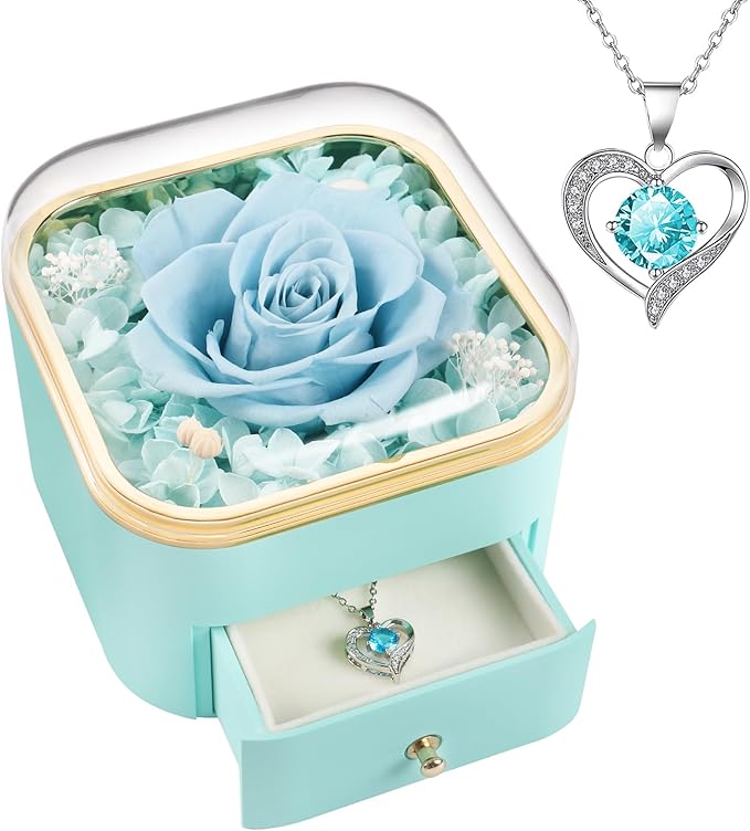 Beferr Christmas Day Rose Gifts for Mom Women Birthday Gifts Preserved Real Rose with Necklace Eternal Roses Forever Flowers for Delivery Prime Thanksgiving Flower Gifts for Grandma Wife Daughter Sister