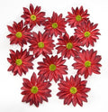 Daisy Silk Flower Heads, 12 Pcs Artificial Daisy Flower Heads, 3.5 Inch Wine Red Floral Heads Fake Daisies for Decoration, DIY Craft, Vase, Flower Arrangement, Hats, Costume, Hair