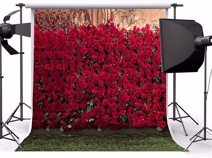 AOFOTO 8x8ft Portrait Backdrops Photography Wedding Background Manor Romance Red Rose Flowers Wall Blurry Grassland Lovers Anniversary Decor Kid Girl Ladies Portrait Photo Shoot Studio Props Vinyl