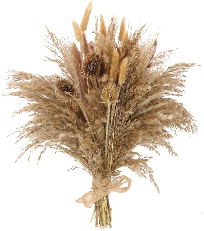 Dried Flowers Bouquet,Pampas Grass for Boho Decor,Rustic Farmhouse Flower for Bohemian Home,Bedroom,Living Room,Wedding Table Centerpieces(Bouquet C)