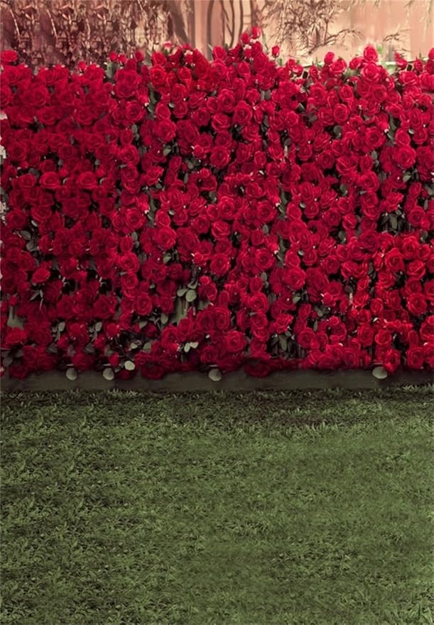 AOFOTO 6x8ft Girl Photography Background Adult Photo Shoot Backdrops Romance Red Rose Flowers Wall Blurry Grass Floor Kid Toddler Artistic Portrait Scene Studio Props Video Digital