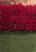 AOFOTO 6x8ft Girl Photography Background Adult Photo Shoot Backdrops Romance Red Rose Flowers Wall Blurry Grass Floor Kid Toddler Artistic Portrait Scene Studio Props Video Digital