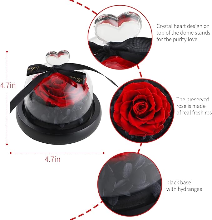 SW Forever Preserved Real Rose in Glass Dome - Eternal Heart Design, Rose Flower Birthday Gifts for Women, Valentine's Day, Mother's Day, Christmas, Anniversary - Unique Gift for Her, Wife, Mom