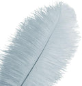 Piokio 10 pcs Natural Grey Ostrich Feathers 14-16 inch(35-40 cm) Bulk for Wedding Party Decoration Gatsby Decorations