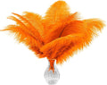 Piokio 20 pcs Orange Ostrich Feather Plumes 12-14 inch(30-35 cm) Bulk for Wedding Party Centerpieces and DIY Clothes Decoration, Gatsby Decorations