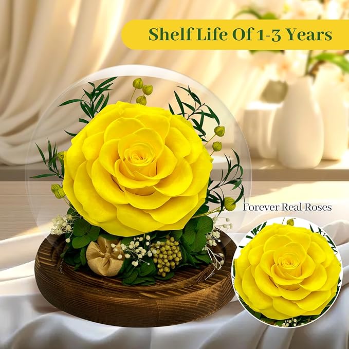 Preserved Rose Forever Flowers in Glass - Birthday Gifts for Women Mom, Real Flowers for Delivery Prime | Rose Gift for Grandma Wife Sister Friend (Yellow)
