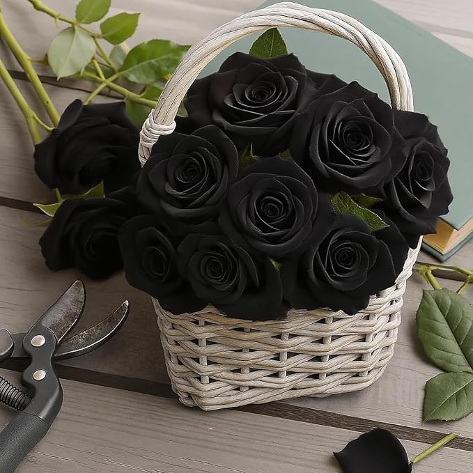 Black Roses Artificial Flowers 15 PCS, Fake Roses Silk Flowers with Long Stems, Faux Rose for Wedding Centerpieces, Home Decor, Indoor Floral Arrangements, Party Decor, DIY Bouquet (Black)