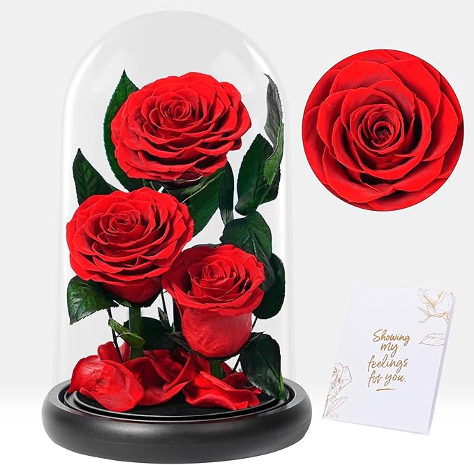 Flowers Roses Gifts for Women - Birthday Gifts Forever Preserved Rose in Acrylic Dome Forever Real Flowers for Delivery Grandma Wife Her Eternal Rose Flower Gifts for Mom Friends Sister