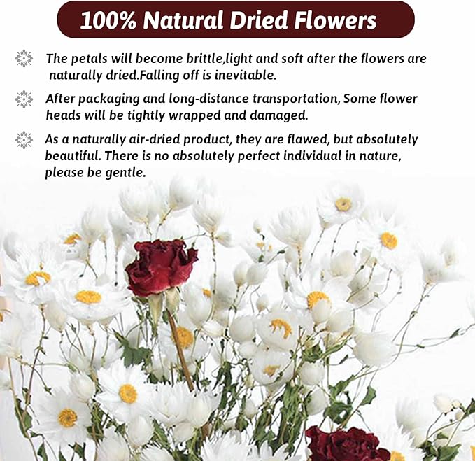 Dried Daisy Flowers Bouquet, 150+ Dry White Flowers, Artificial Sunflowers, 17'' Natural Gerber Daisies Arrangements for Farmhouse Vase Decor, Wedding, DIY Home Office Party Decoration
