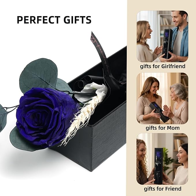 Forever Flower, Preserved Rose Birthday Gifts for Women, Her, Wife, Mom, Prime Eternal Roses Gifts for Mothers Day, Valentines Day, Anniversary, Graduation, Wedding, Single Rose Real Rose (Blue)