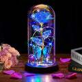 Womens Gifts for Christmas,Christmas Flowers Gifts for Women Mom Sister Grandma Wife Girlfriend, Rose Gifts for Mom,Xmas Gifts Her,Glass Flowers Light Up Rose for Women Blue
