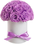 Preserved Roses Dome in a Box, Forever Real Roses Decor, Eternal Flowers for Delivery Prime, Best Gifts Birthday, Wedding, Anniversary, Mother's Day, Christmas for Her, 18-Pieces (Purple)