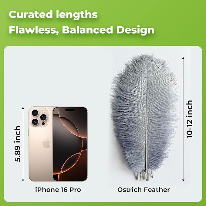 Piokio 20pcs Natural Grey Ostrich Feathers 10-12 inch (25-30cm) Bulk Feathers for Wedding Party Centerpieces, Home Decoration and DIY Clothing, Gatsby Decorations