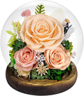 Preserved Roses Forever Flowers in Glass - Birthday Gifts for Women Mom, Real Flowers for Delivery Prime | Rose Gift for Grandma Wife Sister Friend (Mix Champagne)