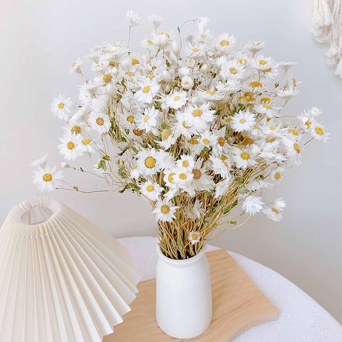 Dried Daisy Flowers Bouquet, 150+ Dry White Flowers, Artificial Sunflowers, 17'' Natural Gerber Daisies Arrangements for Farmhouse Vase Decor, Wedding, DIY Home Office Party Decoration