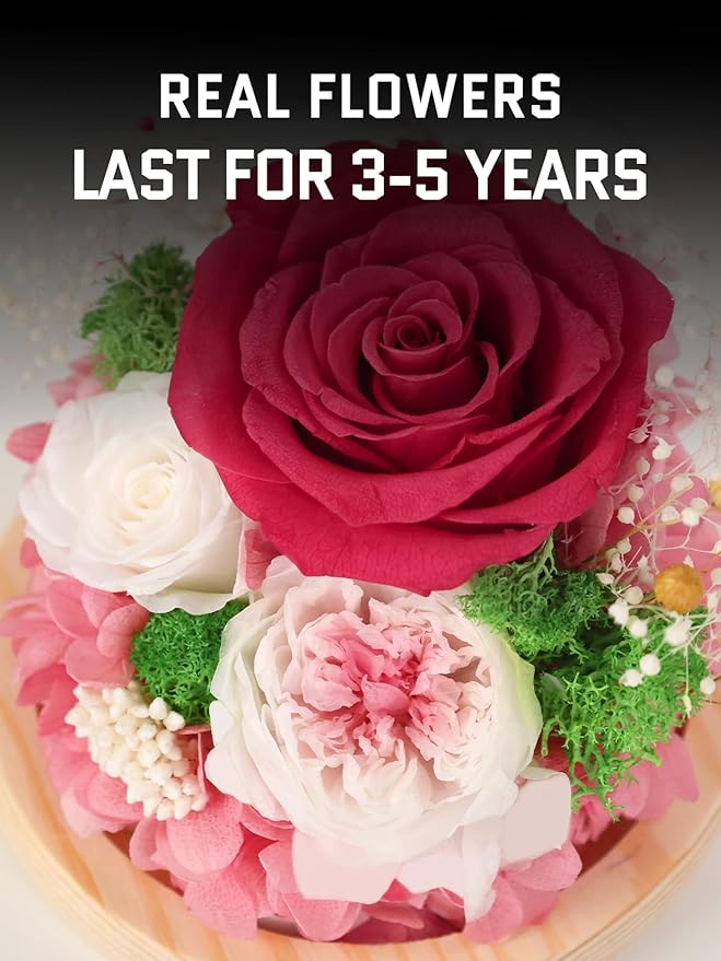 FIACO Preserved Rose Birthday Gift for Women Forever Fresh Flowers for Prime Delivery Gift for Mom Grandma Wife Valentines Mothers Day Christmas Anniversary Eternal Roses in Glass Dome