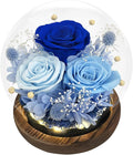 FIACO Valentines Gifts for Her Preserved Flowers in Glass Dome Long-Lasting Eternal Roses Birthday Gifts for Women Mom Grandma Wife Girlfriend Blue Forever Flowers for Delivery Prime