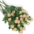 CHIAVE 8pcs 24 Flower Buds Artificial Vintage Roses Fake Silk Rose Flowers with Long Stem for DIY Bouquets Wedding Centerpiece Party Home Kitchen Shorp Decoration-Beige